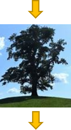 Baum Pfeil